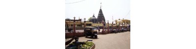 பல்குனி 